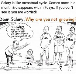 Salary